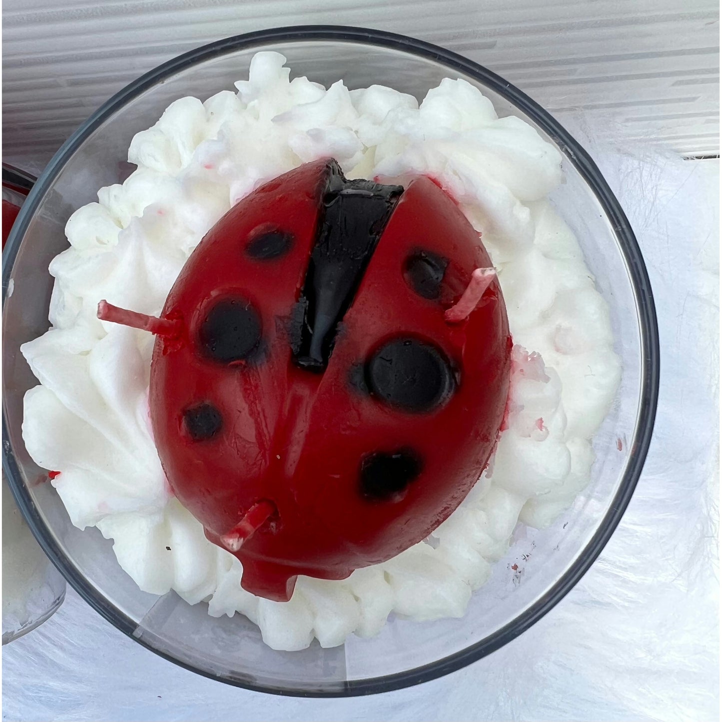 17 oz 3-Wick Ladybug Life Scented Candle | Decorative | Unique