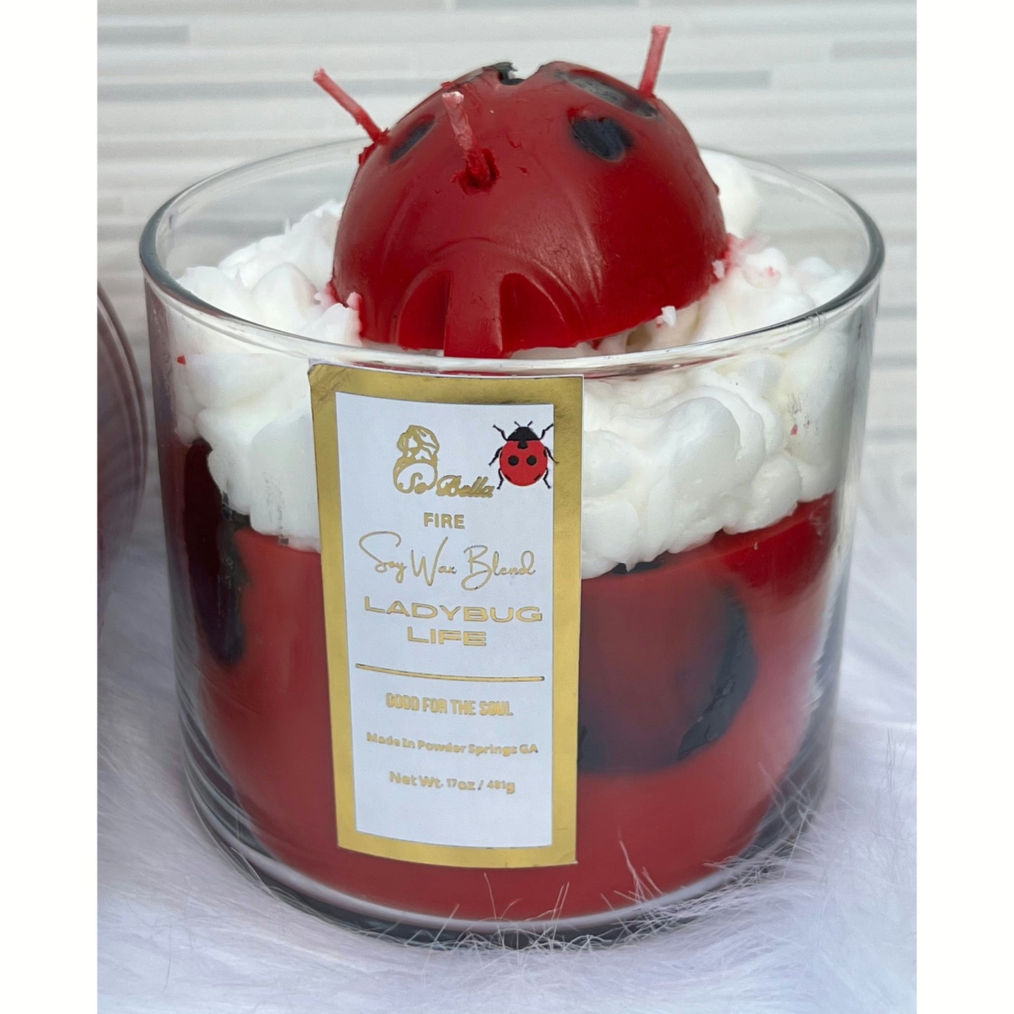 17 oz 3-Wick Ladybug Life Scented Candle | Decorative | Unique